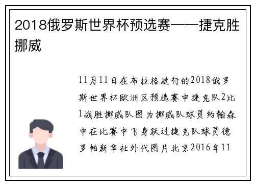 2018俄罗斯世界杯预选赛——捷克胜挪威